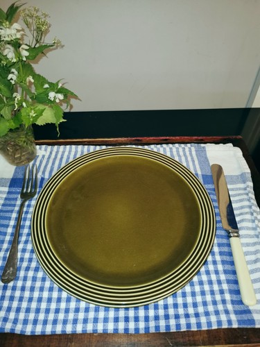Vintage large dinner plates - 2x,