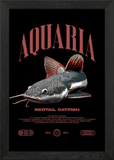 Redtail Catfish Fish Keeper