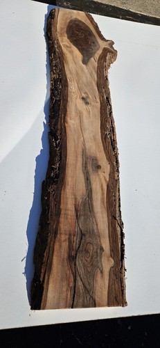 Claro black walnut live - black,