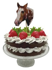 Piebald Horse Cake Topper -