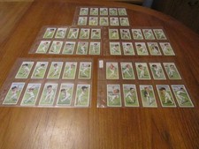 John Player  cigarette cards