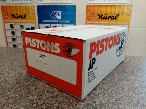 Bedford series piston set - bedford,