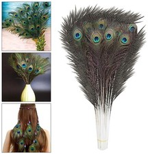 Natural Peacock Feathers Real