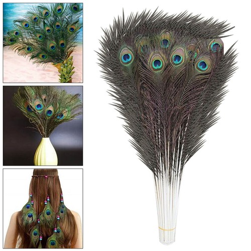 Natural peacock feathers real - peacock,