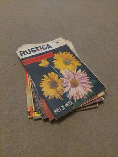 Vintage french rustica - vintage, "rustica"