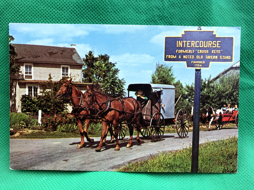 Greetings from the amish - greetings,