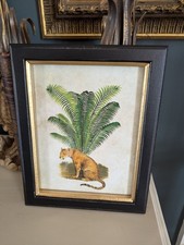 Colonial style leopard picture in black/gold frame 25 X 20cm