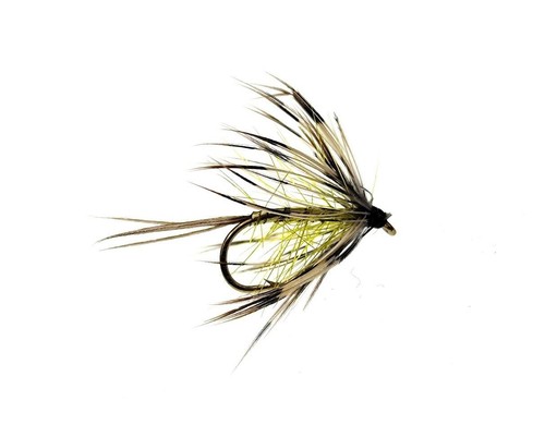 Pack french partridge mayfly - 3,