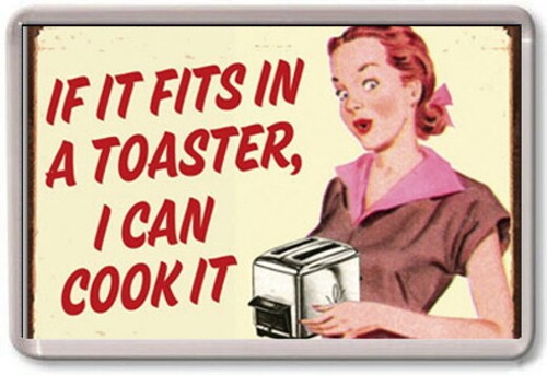 Fridge magnet it fits in - fits,