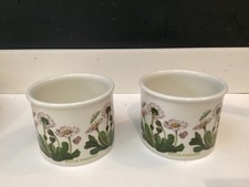 PORTMEIRION BOTANIC GARDEN 2 x