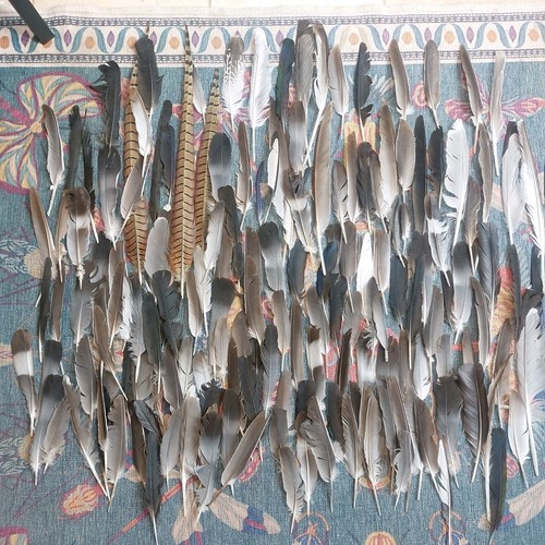 150 feathers natural fallen - 150,