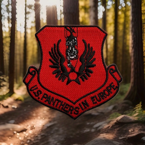 494th squadron panthers - 494th,