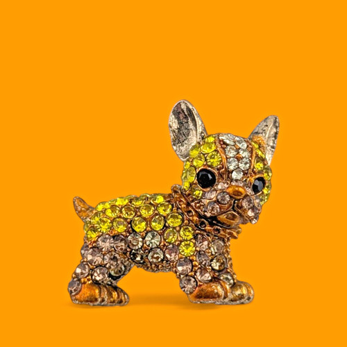 Little french bulldog puppy - french,