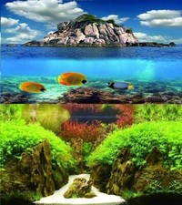 Aquarium Fish Tank Background 2 Sides + Adhesive - 2 to 10 FT Lengths