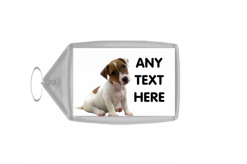 Jack russell puppy - russell,