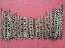 25 CUT Hen Pheasant Centre