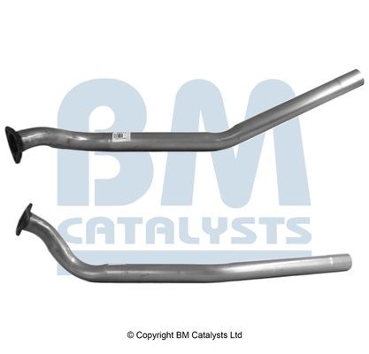 Catalysts bm50013 pipe - bm,