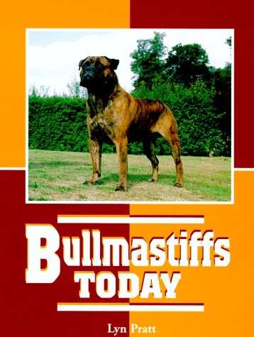 Bullmastiffs today - bullmastiffs,