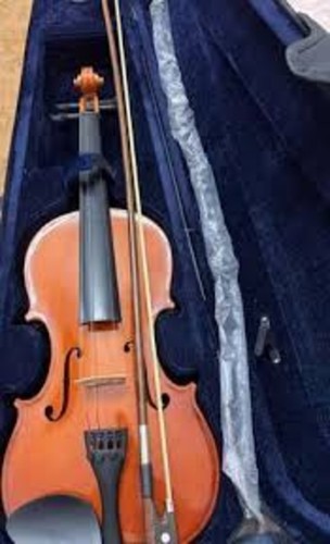 Student violin with - violin,