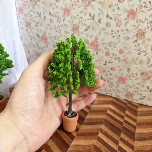 2pc plant tree - plant, scale