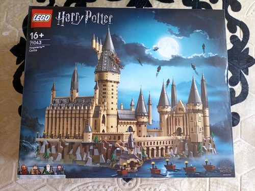 Lego harry potter hogwarts - harry,