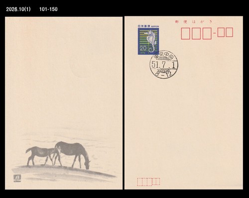 Horse animal sea - horse,animal,sea, horse,marine