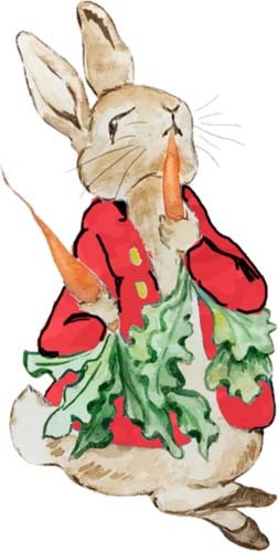 Peter rabbit watercolour wall - peter,