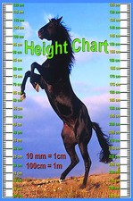LAMINATED HEIGHT CHART