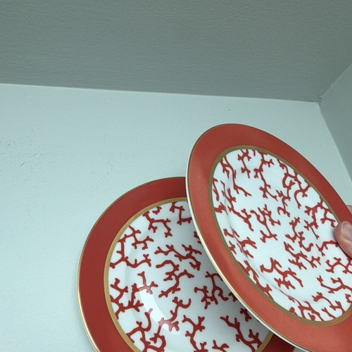 Raynaud cristobal coral - cristobal,