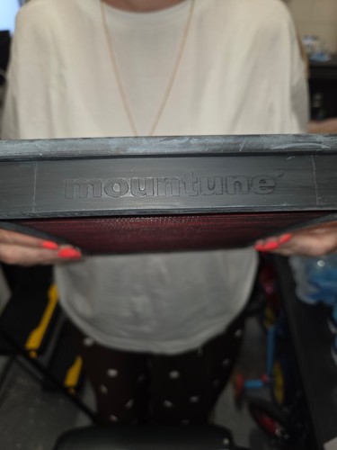 Mountune air filter mk4 - mountune,