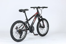 20" inch Unisex Bike Adult