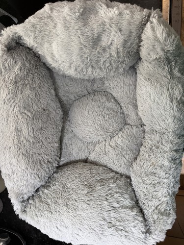 Non branded grey small dog - dog, bed