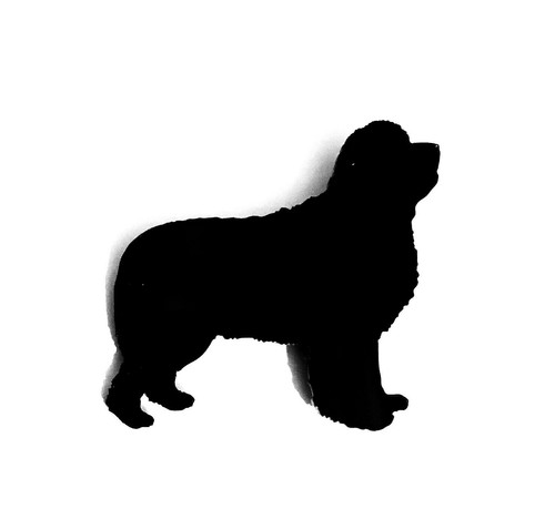 Newfoundland dog brooch badge - brooch,