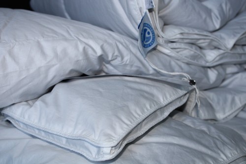 Eiderdown duvet - eiderdown,