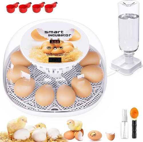 Egg incubator automatic - incubator,