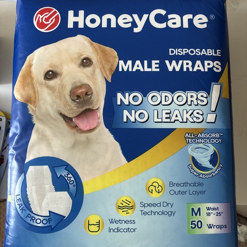 All absorb a25 - a25, dog
