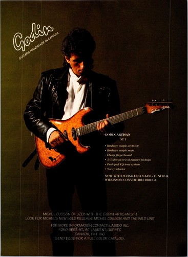 Vintage 1992 godin - vintage,