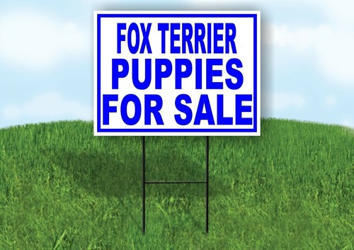 Fox terrier puppies for - terrier,
