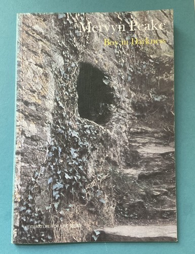 Boy darkness mervyn - darkness,