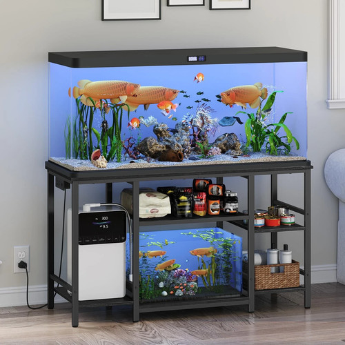 Gallon fish tank - fish, stand