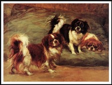TIBETAN SPANIEL DOGS VINTAGE