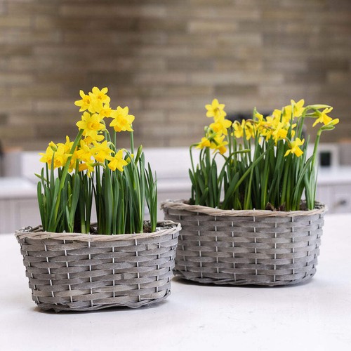 Colthrop lined wicker - colthrop,