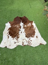 Brown And White Genuine Cow