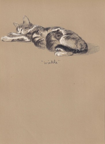 1946 mother cat - &, kittens
