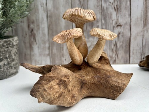 Mushrooms root wooden - mushrooms,