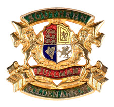 Vintage Pullman Railway Train Carriage Southern Golden Arrow Enamel Brooch Badge