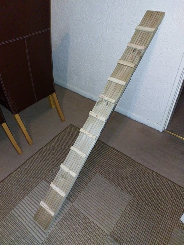 Catio extended access ladder - access,