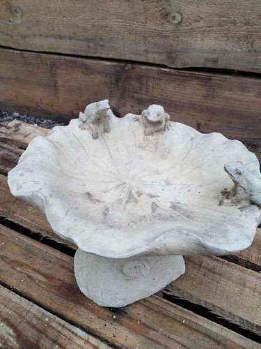 Concrete frog birdbath - concrete,