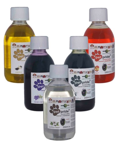 Kennel cattery cleaner - kennel,