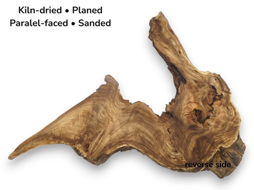 Japanese pagoda tree root wood - japanese,